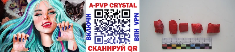 A PVP СК  Ливны 